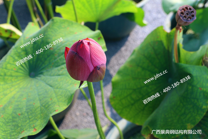 澳门六宝典资料大全