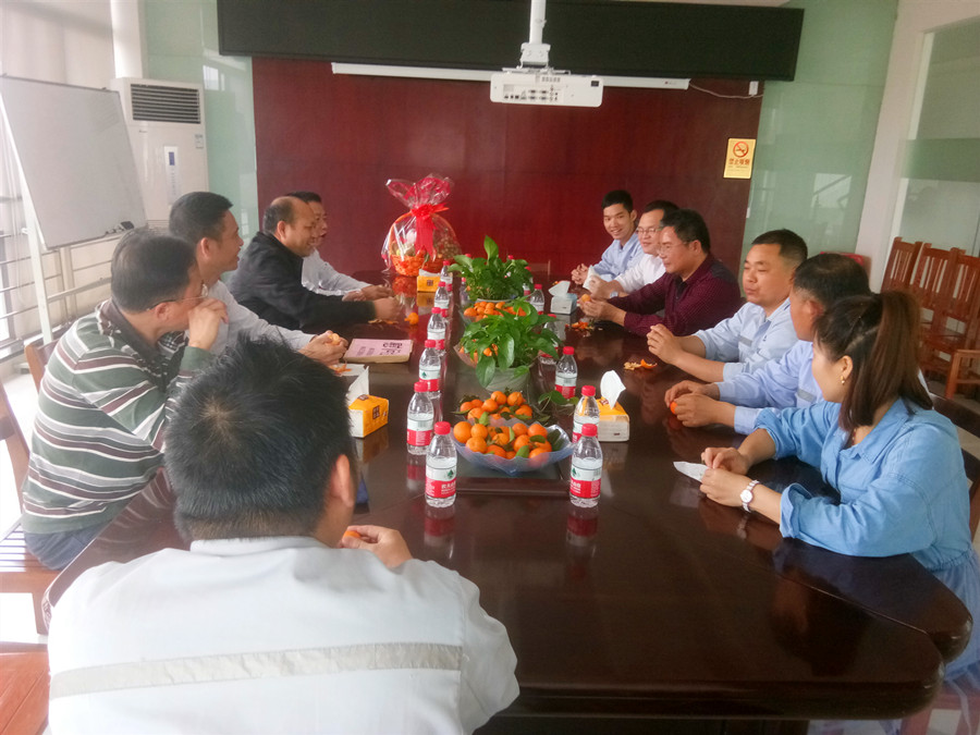 澳门六宝典资料大全