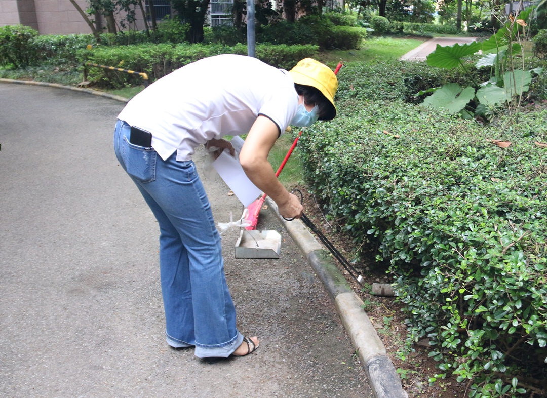 澳门六宝典资料大全