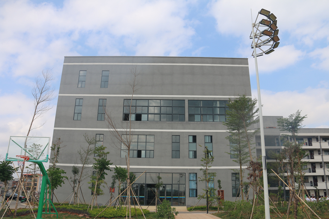 澳门六宝典资料大全